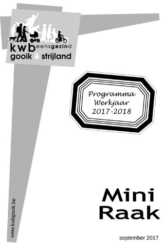 Kaft van Mini Raak 201709
